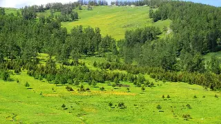 诛仙手游：平民玩家装备推荐，打造你的专属仙侠之路
